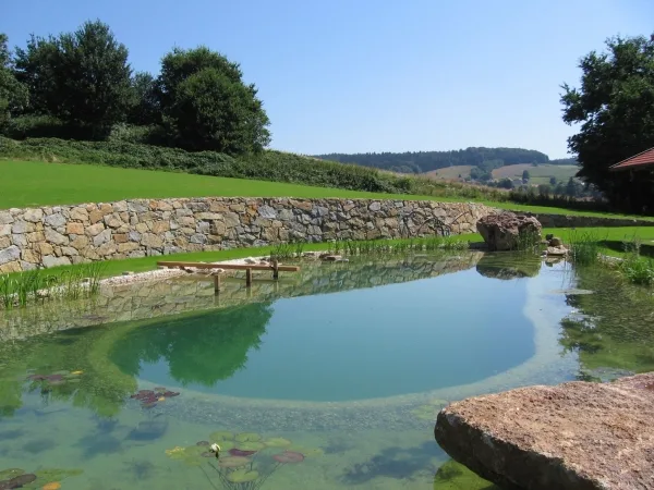 Großer Schwimmteich mit Natursteinmauer